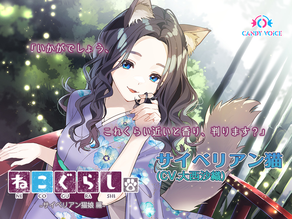 【耳かき・吐息】新・ねこぐらし。〜サイベリアン猫娘  編〜【CV :大西沙織】