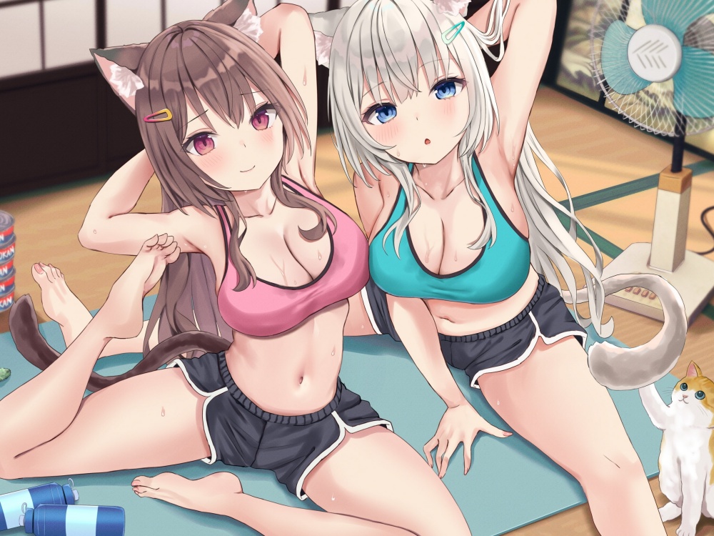 【KU100】ケモ耳フィットネスでドスケベ射精管理! 〜軟体ネコ娘にあまあま搾精されながら絶倫目指して密着絡まりトレーニング♪〜【りふれぼプレミアムシリーズ】
