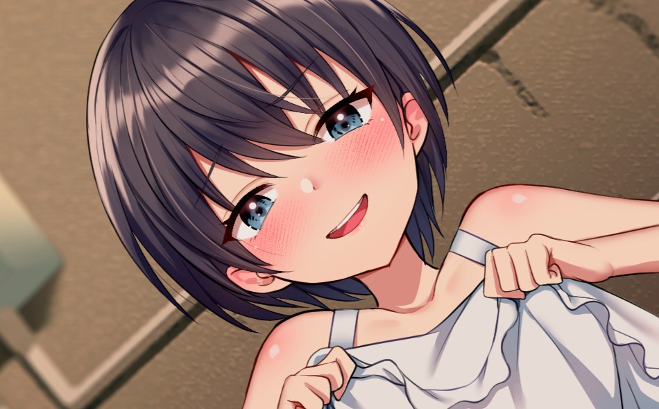 メスガキに性癖見透かされて露出調教される話