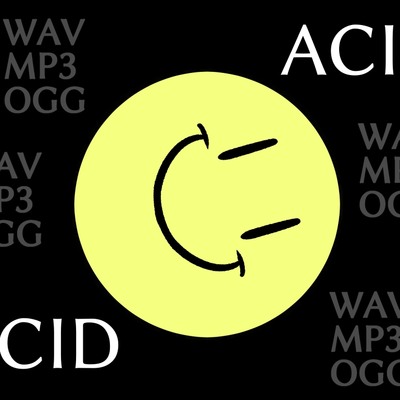 ACID HOUSE