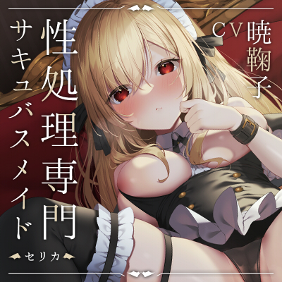 性処理専門サキュバスメイド -セリカ-