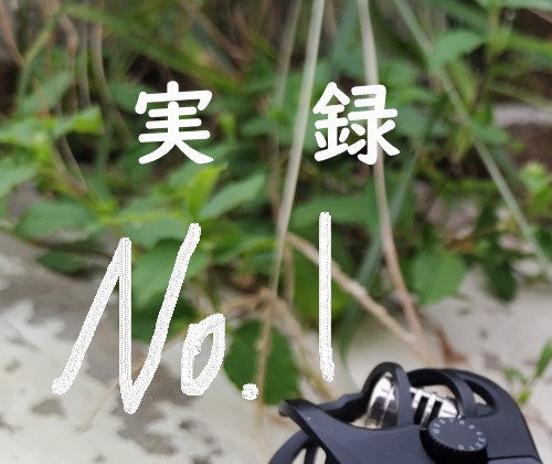実録 雷雨