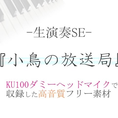 体験版小鳥の放送局_右&左