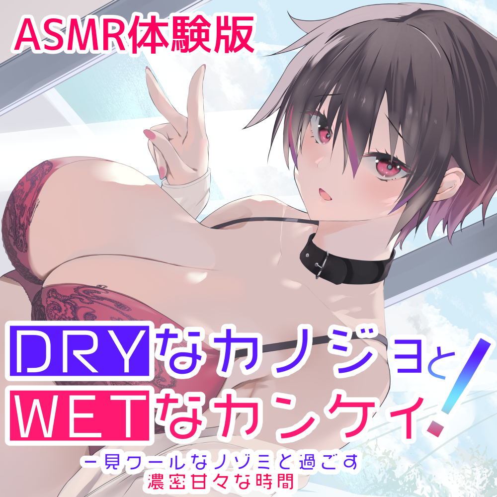 DRYなカノジョとWETな関係！