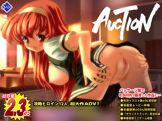 【豪華特典付!】AUCTION -てんこ盛り完全版-