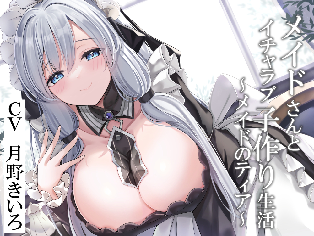 メイドさんとイチャラブ子作り生活～メイドのティア～