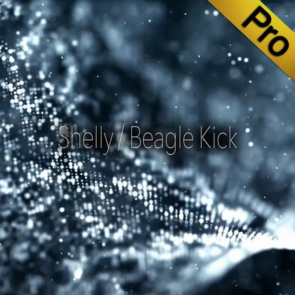  [Pro]Shelly Multi Track Professional Edition