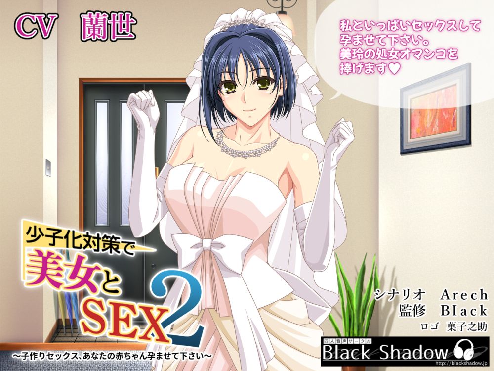 少子化対策で美女とＳＥＸ　２　～子作りセックス、あなたの赤ちゃん孕ませて下さい～