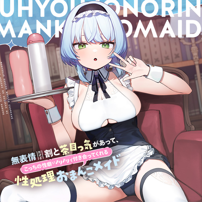 無表情だけど割と茶目っ気があって、こっちの性癖にノリノリで付き合ってくれる性処理おまんこメイド【バイノーラル】