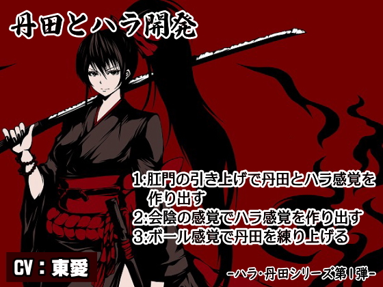 ハラ・丹田シリーズ第1弾 「丹田とハラ開発」 1：肛門の引き上げで丹田とハラ感覚を作り出す 2：会陰の感覚でハラ感覚を作り出す 3：ボール感覚で丹田を練り上げる