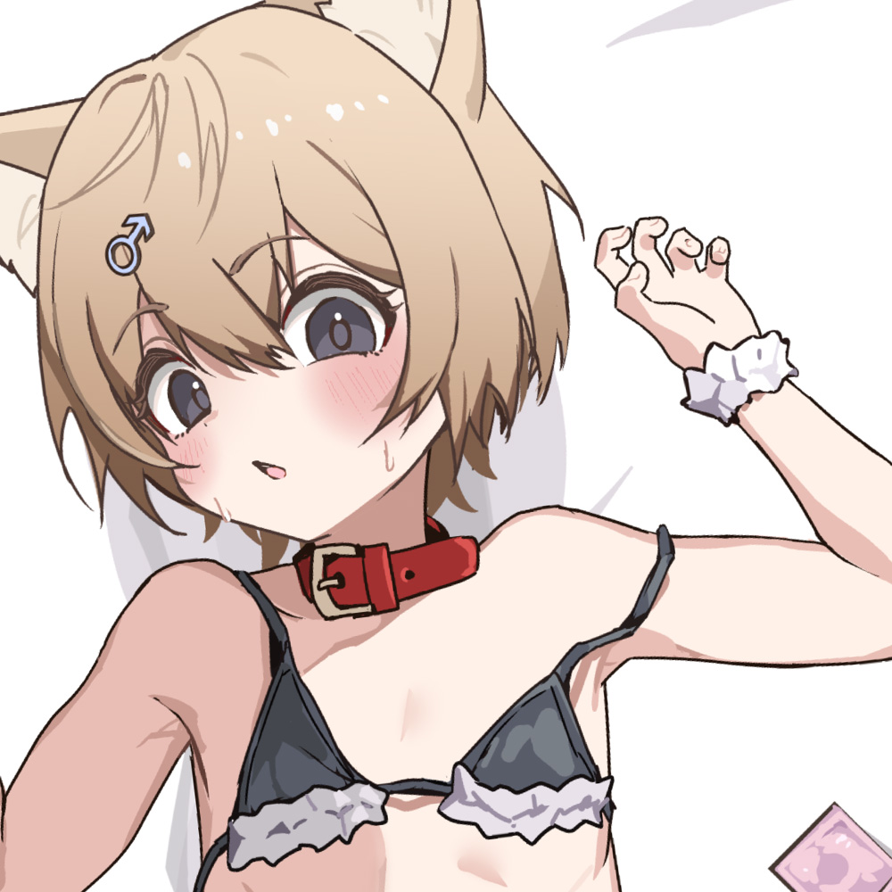 無知なねこみみ男の娘ショタの乳首いじったりエッチする動画