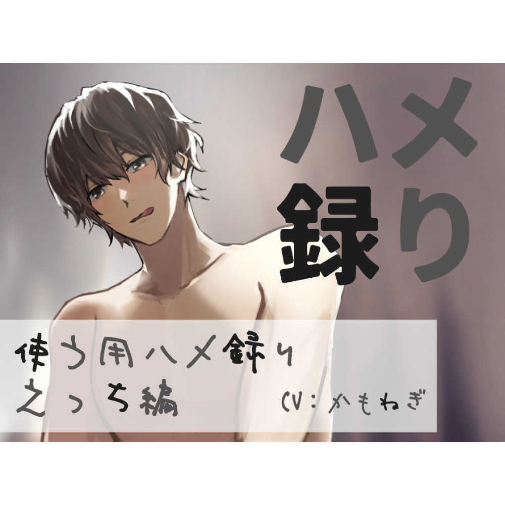 ハメ録り ‐使う用ハメ録りえっち編‐