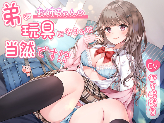 弟がお姉ちゃんの玩具になるのは当然です！？