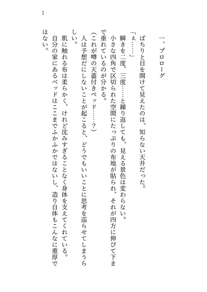 体験版