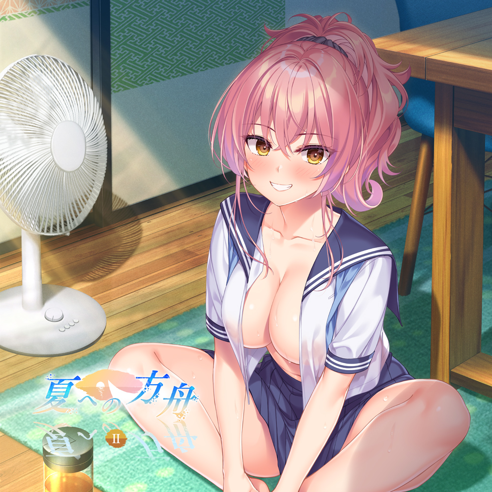 夏への方舟２