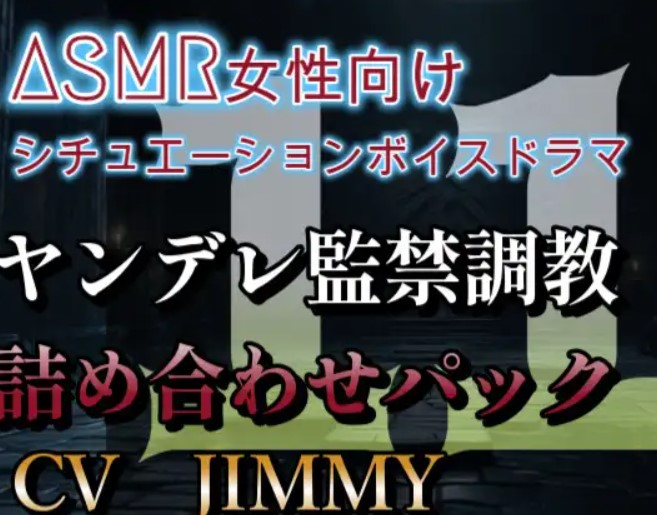 ヤンデレ調教監禁詰め合わせ  VOL11 僕は本気でお姉さんを監禁するよ。ほんとにいい?大丈夫?