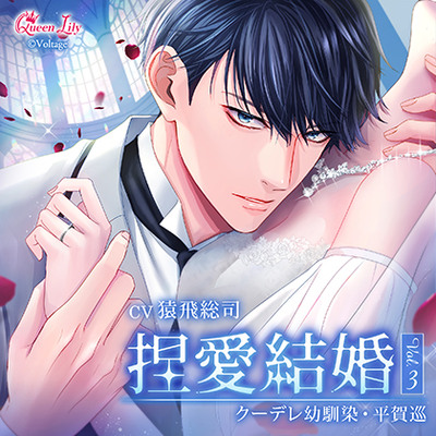 捏愛結婚 Vol.3 〜クーデレ幼馴染・平賀巡〜【がるまに限定特典付き】