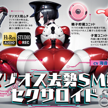 SMセクサロイドの起動