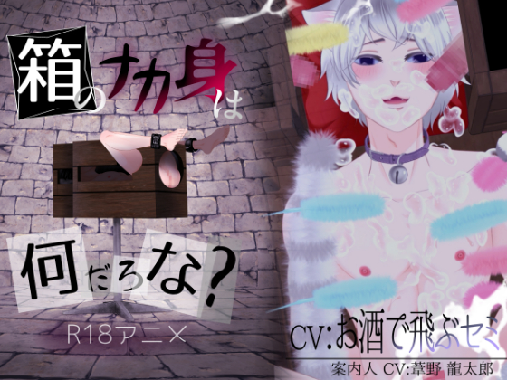 箱のナカ身は何だろな？～猫～