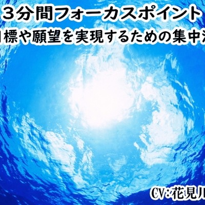 「3分間フォーカスポイント」 　ビジネス用マインドセット -目標や願望を実現するための集中法 -