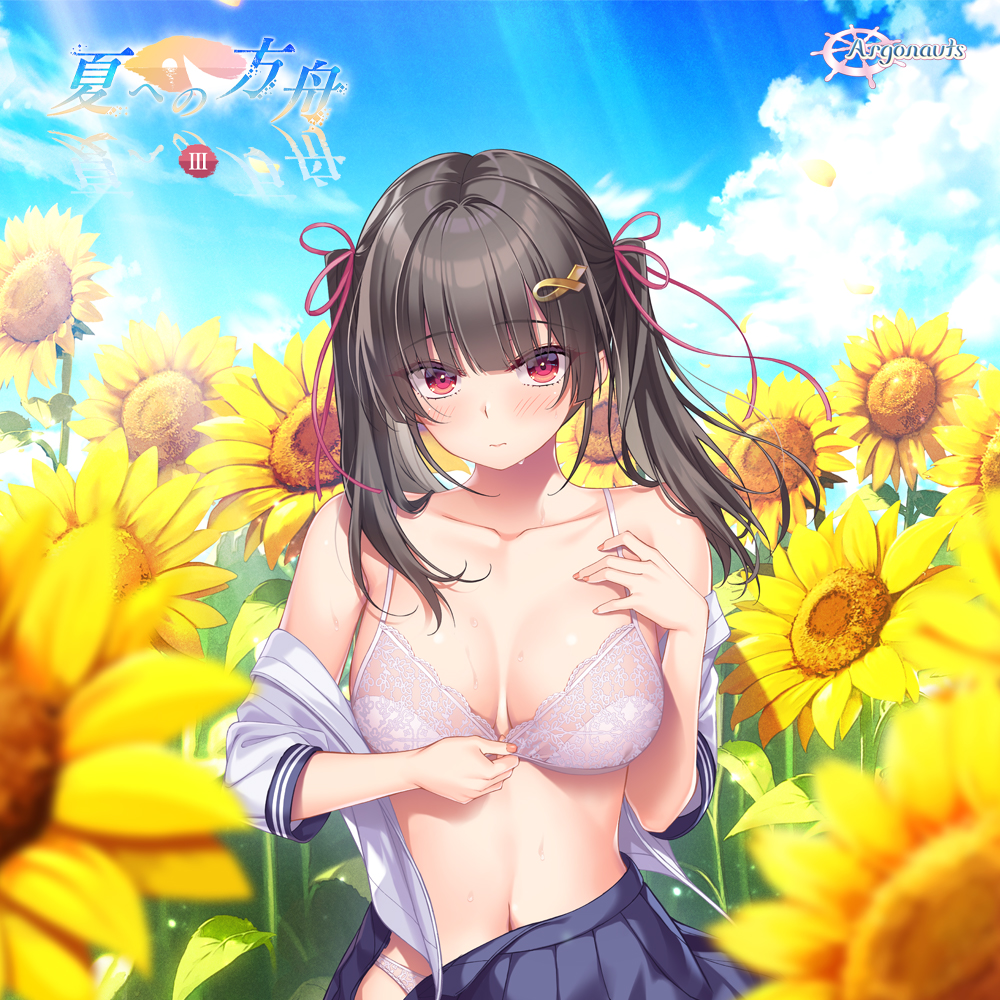 夏への方舟３