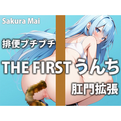 【うんち収録】うんちの音とオナサポであなたが気持ち良くなる手助けしちゃいます！！【桜まい】