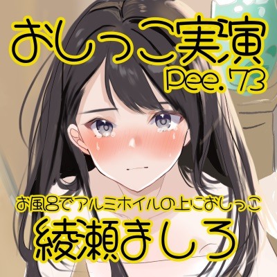 体験版