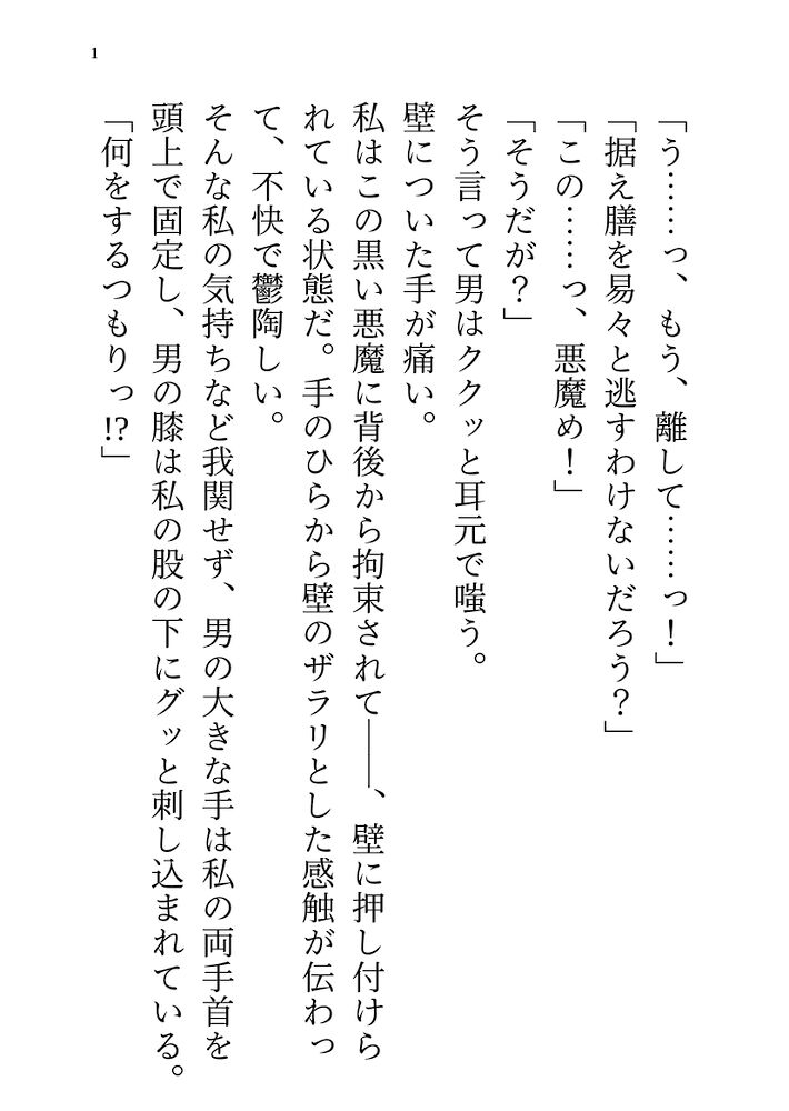 聖騎士の私は黒魔王を倒しに行ったはずなのに…彼から執拗に愛され強引なセックスで支配されちゃう話