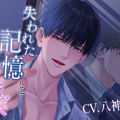 【待望のシリーズ別視点!!】失われた記憶と真実～はじまりの恋～