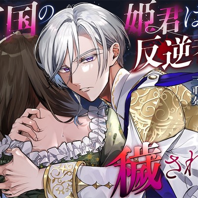 亡国の姫君は反逆者に穢されて