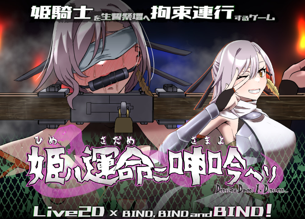 姫ハ運命ニ呻吟ヘリ Destined Damsel In Distress