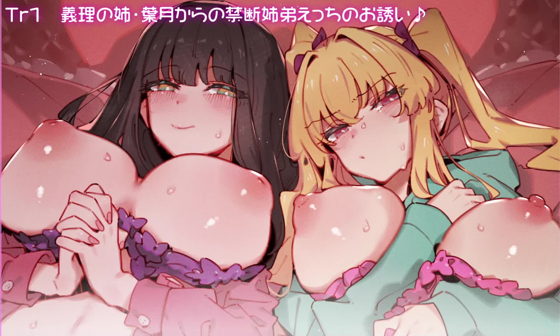 W孕ませ! ～義理の姉と実の妹、らぶらぶ禁断中出しセックス三昧の毎日～