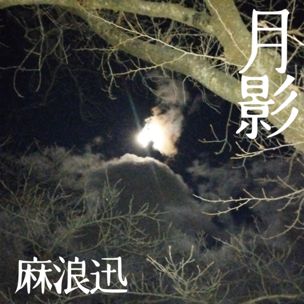 「月影」総合試聴盤