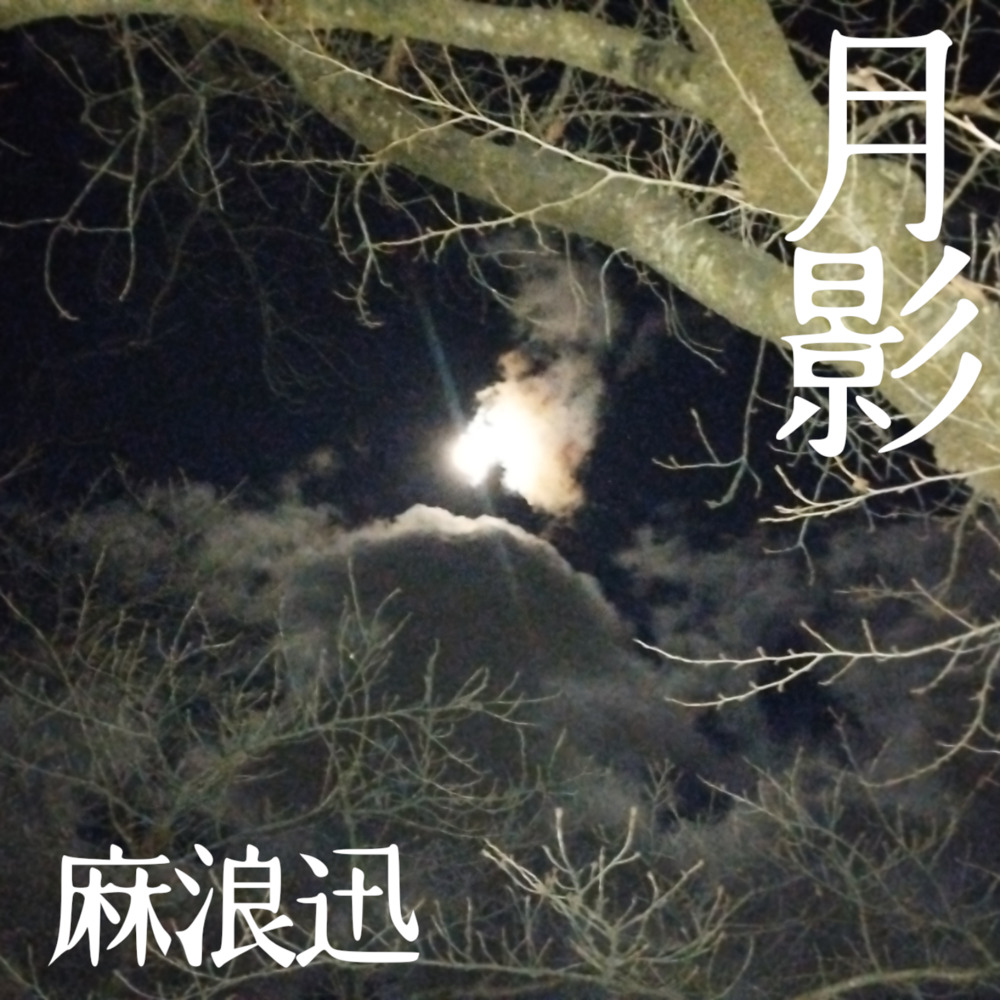 「月影」総合試聴盤