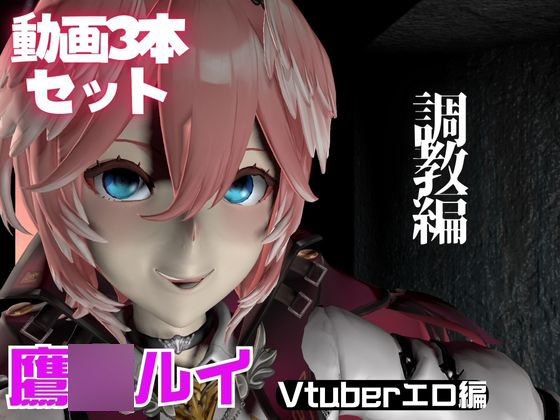 Vtuber鷹○ルイを調教してメスということを分からせる動画パック「Taka○e Lui」