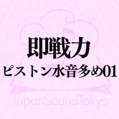 【即戦力効果音】オナホピストン 01【クオリティ爆上げ即戦力シリーズ】