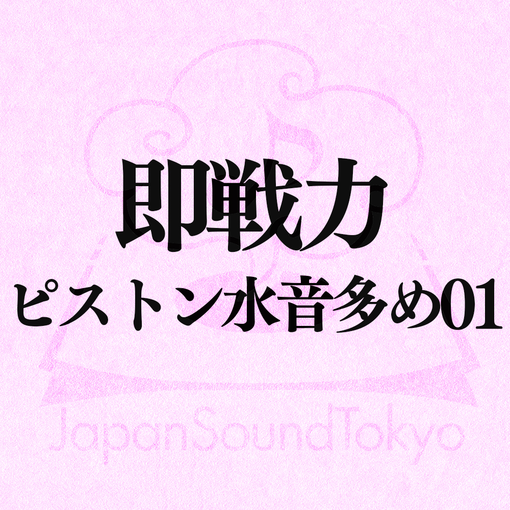 【即戦力効果音】オナホピストン 01【クオリティ爆上げ即戦力シリーズ】