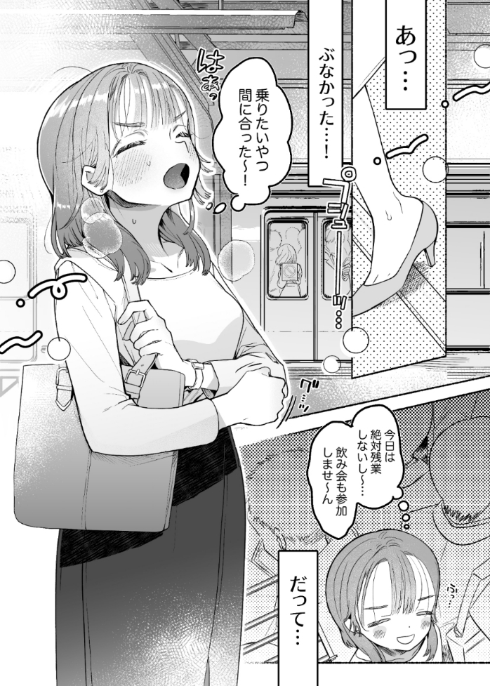 淫魔専用車両 玩具痴幹線 ～急行ホテルイき～