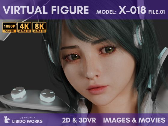 2D+3DVR VIRTUAL FIGURE MODEL:X-018 FILE.01