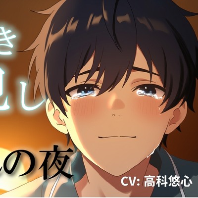 泣き犯し～ 同棲解除日記 ― 最後の夜、僕たちは涙を流しながら身体を重ねた ～ ASMR/バイノーラル/泣きエッチ/カップル/日常/別れ/感動/あまあま/中出し
