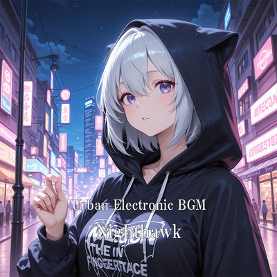 Urban Electronic BGM "Nighthawk"体験版