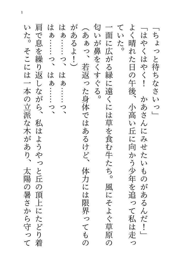 転生した異世界で母として男の子を育てたら血の繋がらない成長した剣士の彼から求愛＆エッチなことまで要求されちゃう話