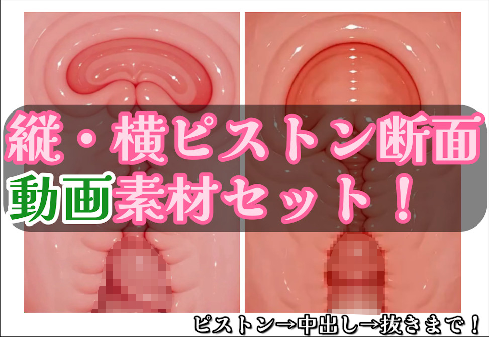 著作権フリー！ピストン子宮断面動画素材セット！　縦・横バージョン