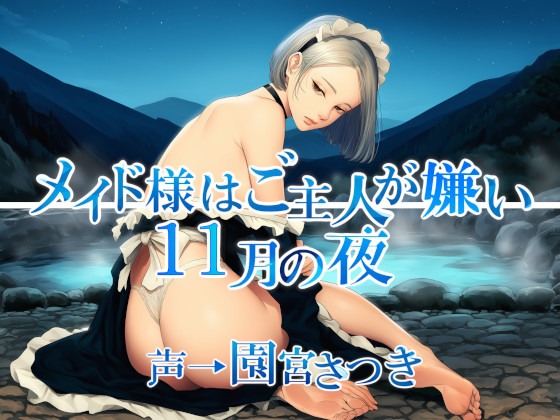 メイド様はご主人が嫌い　１１月の夜