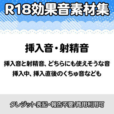 【R18効果音・クレジット表記不要】挿入音・射精音の効果音素材集