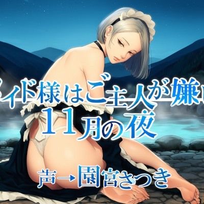 メイド様はご主人が嫌い　１１月の夜体験版