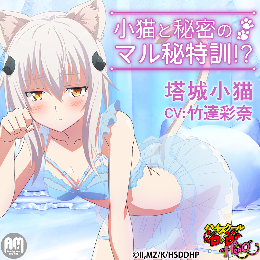 ハイスクールD×D HERO ASMR 小猫と秘密のマル秘特訓!?【CV:竹達彩奈】