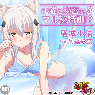【体験版】ハイスクールD×D HERO ASMR 小猫と秘密のマル秘特訓!?【CV:竹達彩奈】