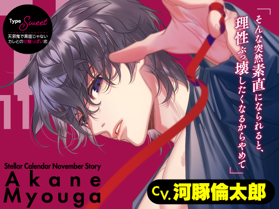 【CV.河豚倫太郎】Stellar Calendar （ステカレ）～November Story～