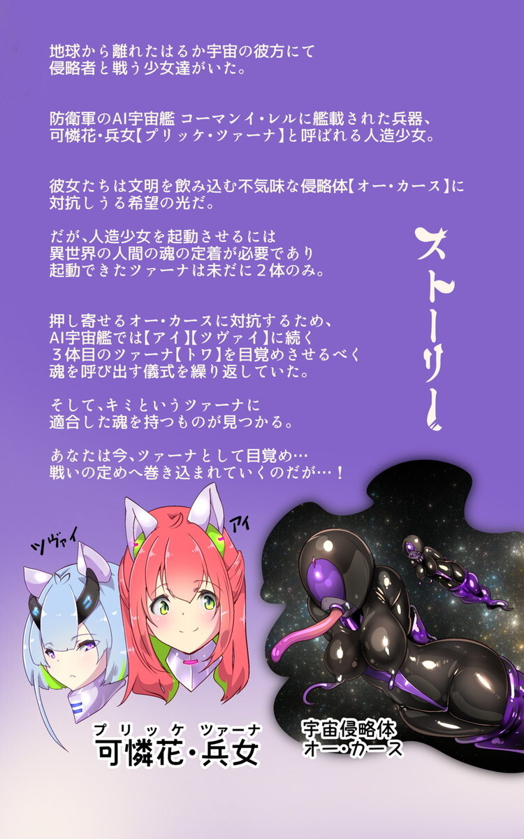 ご試読版プリッケツアナー